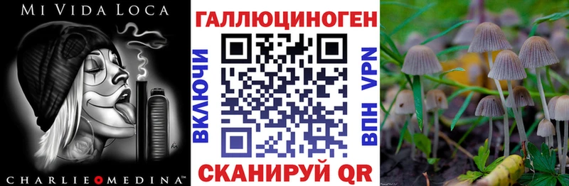 Купить Мурино Псилоцибиновые грибы мицелий